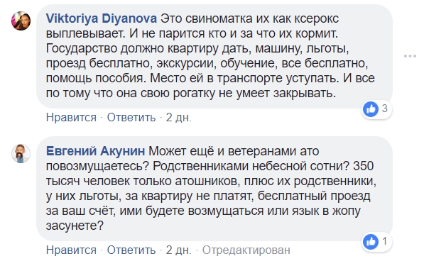 Родила 14-го ребенка: украинцы раскритиковали мать-героиню